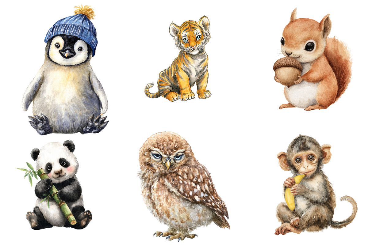 Baby Animal PNG Clipart, an Illustration by DreamArtGraphic (Photo 5 of 5)