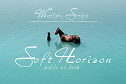 Whorlora Script, a Handwritten Font by Lilithcollageart (Thumbnail 1 of 11)