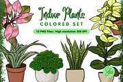 Indoor Plants Cliparts - Colored Set, an Object Illustration by shielscreations (Thumbnail 1 of 3)