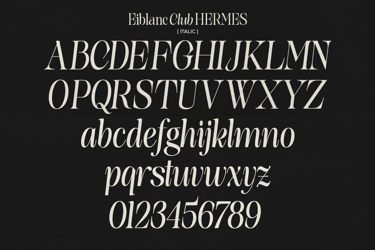 The Eiblanc Club Hermes | 12 Font, a Serif Font by Natural Ink Studio (Photo 14 of 15)