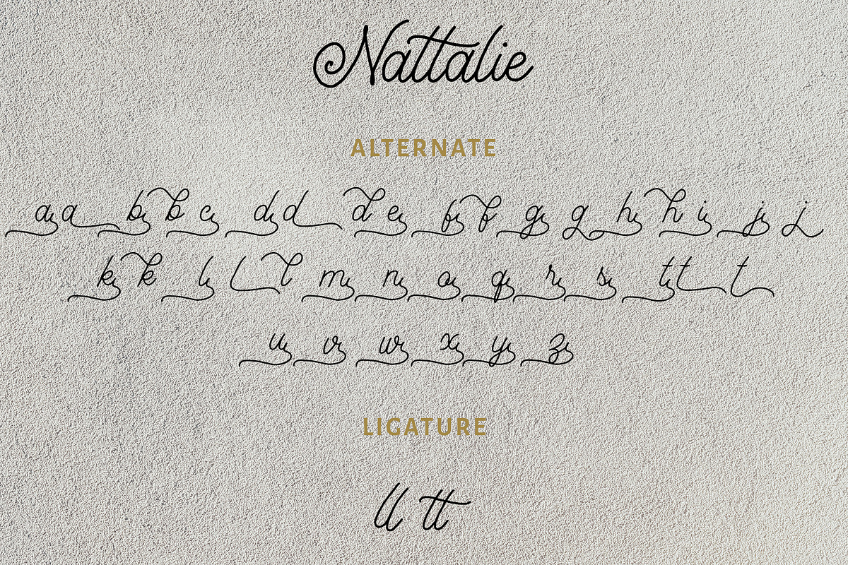 Nattalie Monoline Font, a Script Font by Analogous (Photo 11 of 13)