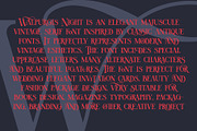 Walpurgis Night, a Serif Font by NREY (Thumbnail 3 of 8)