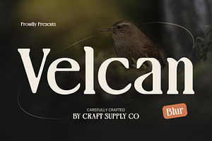 Velcan Blur, a Serif Font by Craft Supply Co.