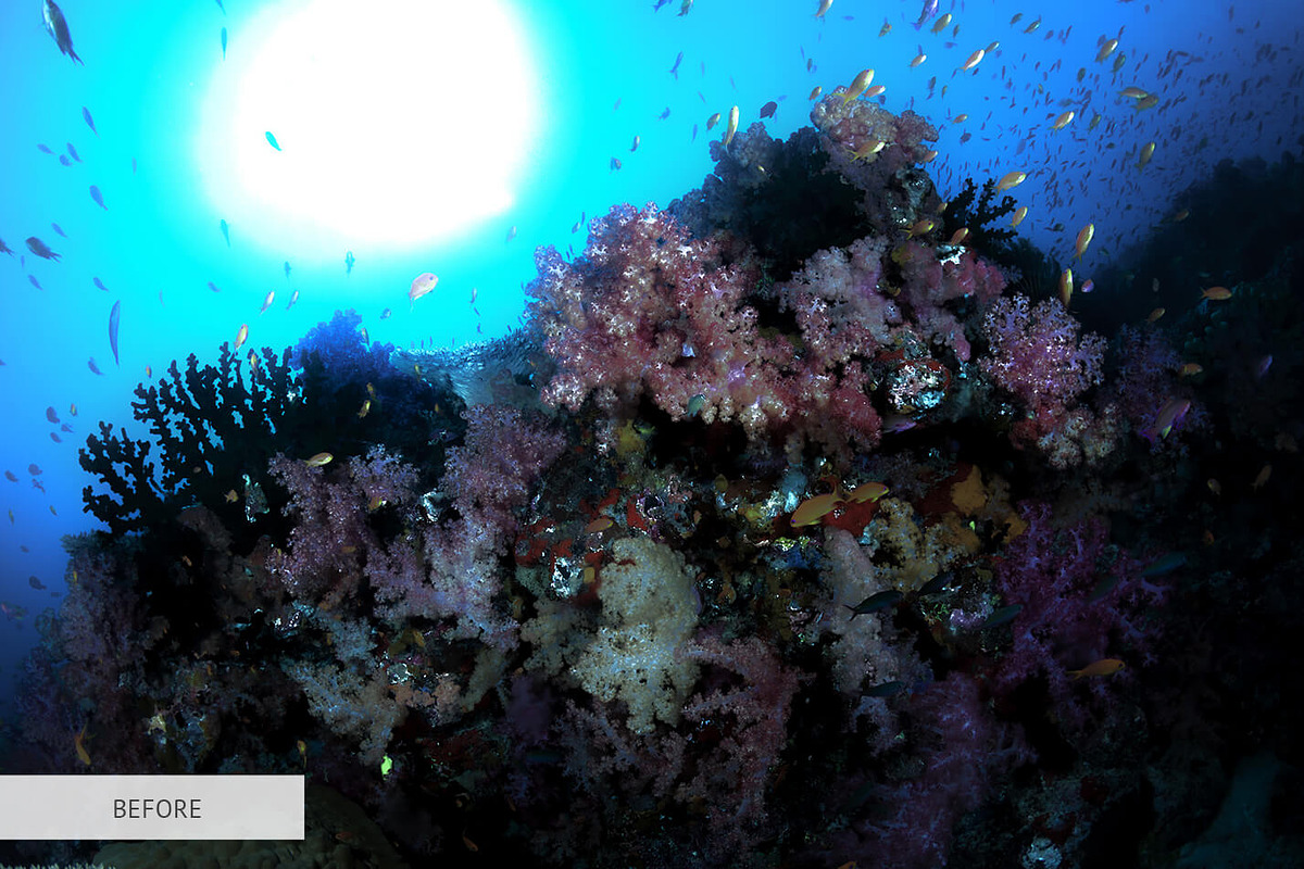 Underwater Photography Presets, a Plug-in Add-On by FixThePhoto (Photo 20 of 32)
