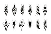 Agriculture Grain Silhouette Pack, an Illustration by Creativeshirt (Thumbnail 2 of 9)