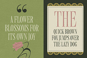 Modiserif, a Serif Font by graphicook (Thumbnail 6 of 10)