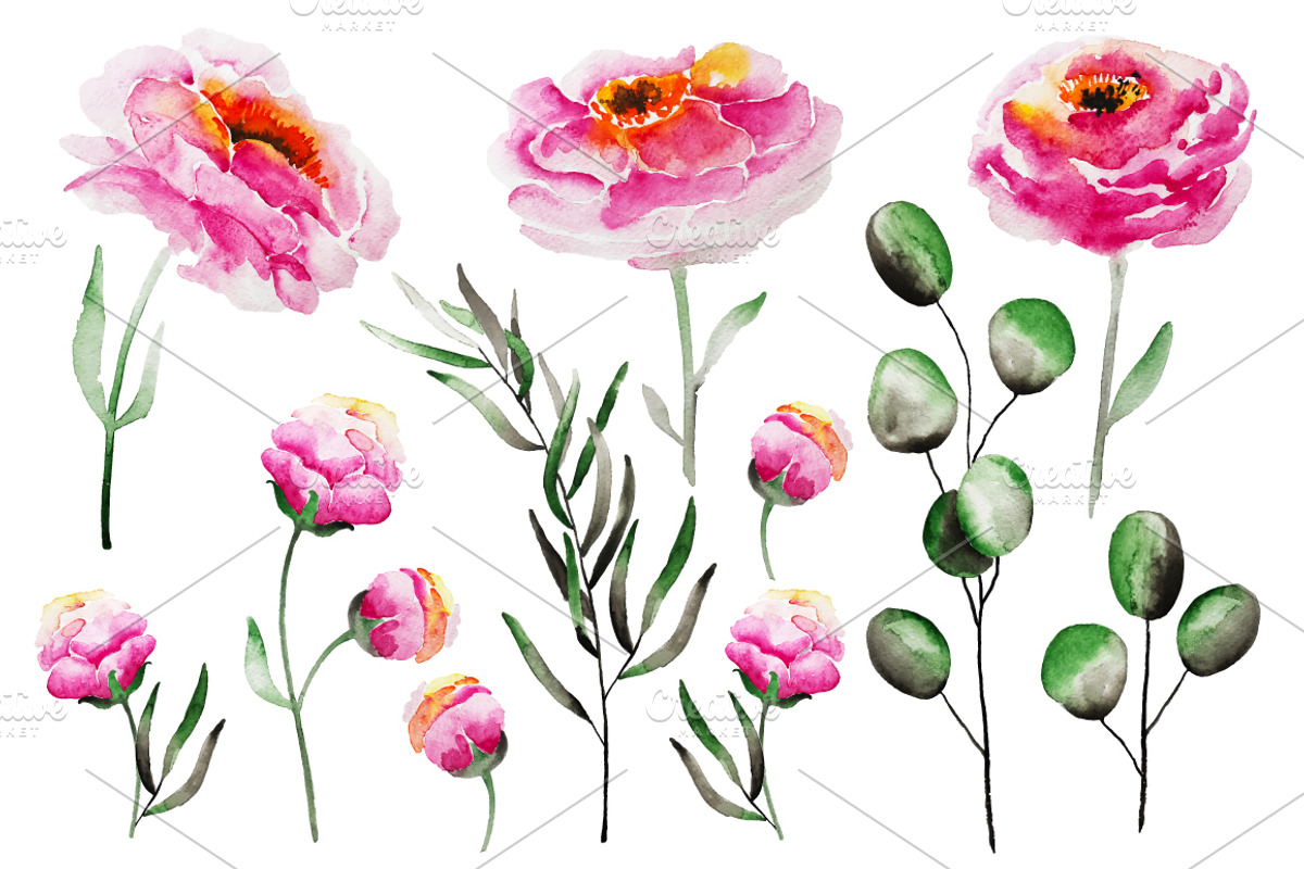 Tender peony patterns and elements, a Decorative Illustration by SuperNata (Photo 2 of 5)