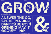 BN Blooms, a Sans Serif Font by Bnick (Thumbnail 5 of 17)