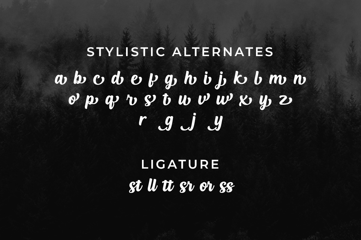 Haliond Modern Script, a Script Font by Multype Studio (Photo 10 of 11)