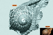 SCRATCHBOARD INK ENGRAVING FX, an Action Add-On by Studio Retouch (Thumbnail 6 of 12)
