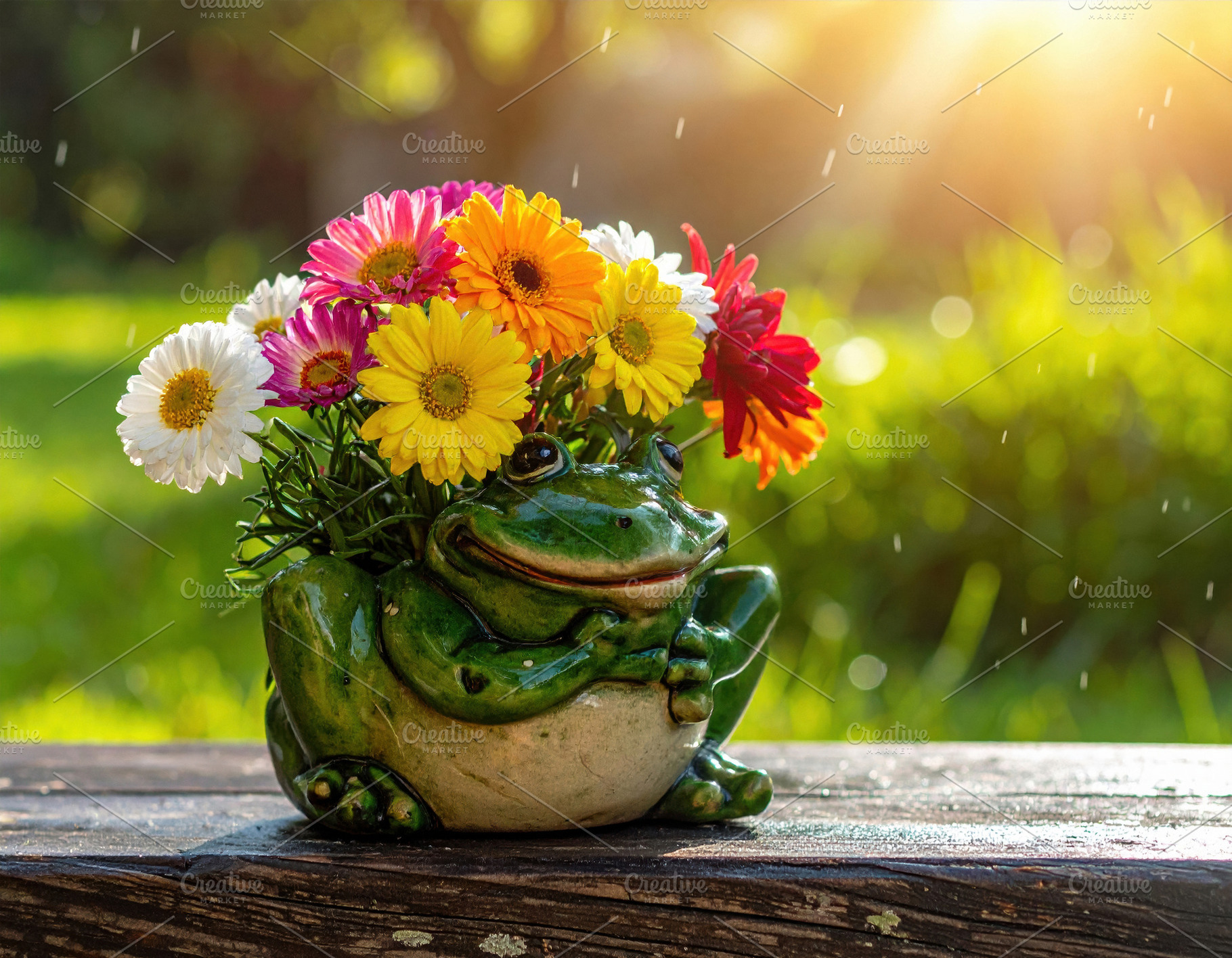 Smiling Frog Planter with Colorful Spring Flowers, a Nature Photo by Davizro's Market
