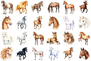 Horse Clipart, Horse Illustration Se, an Illustration by Sublimation Artist (Thumbnail 2 of 6)