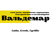 Waldemar 4F Black, a Font by 4th february type foundry (Thumbnail 3 of 5)
