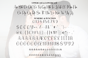 Darling | Script Font, a Handwritten Font by Scratchones (Thumbnail 7 of 9)