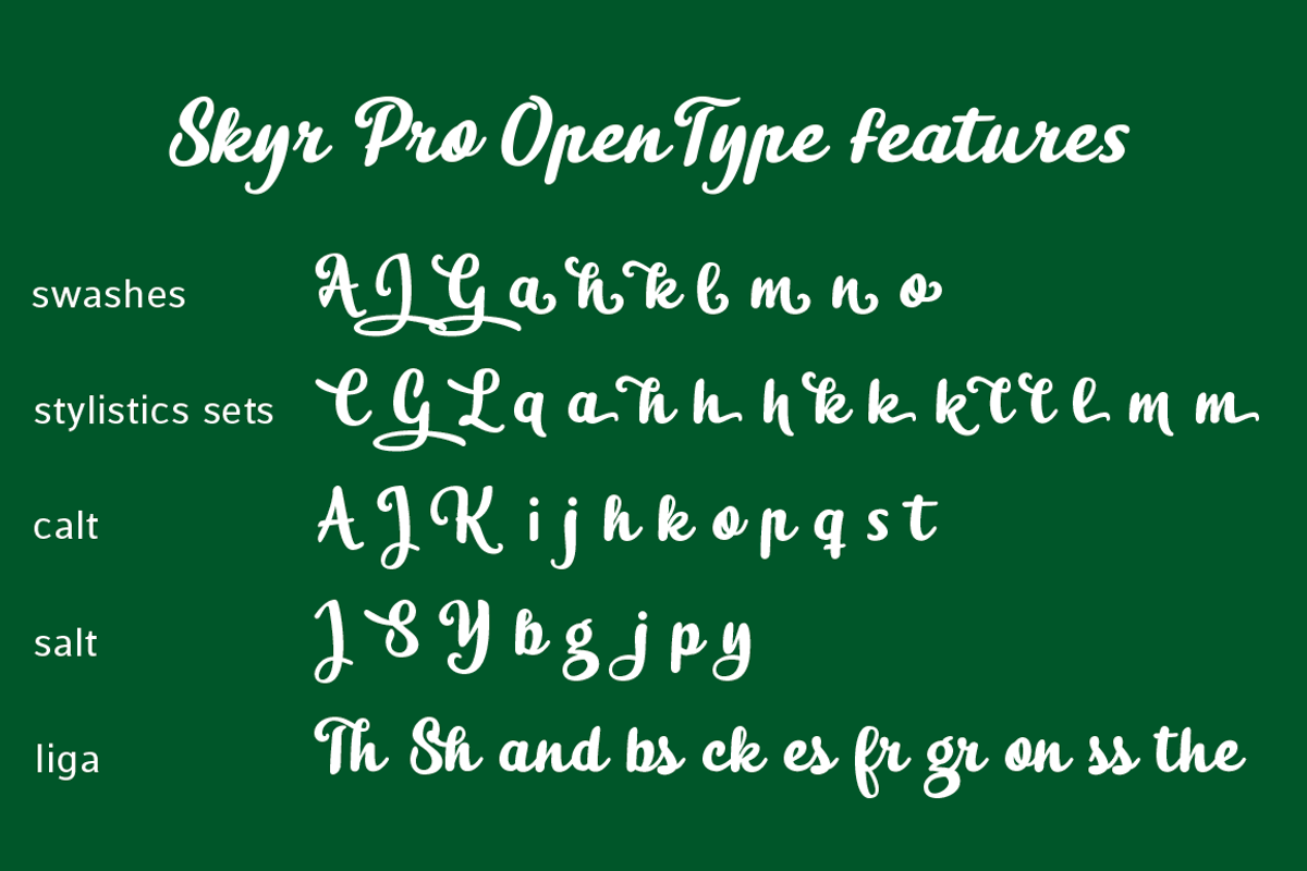 Skyr Pro Family preview 4