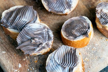baguette with sweet chocolate butter on a board, a Background Photo by MyPhotos