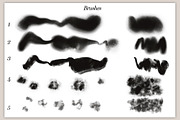 40 Paint brushes for procreate, a Brushes & More by The_Brush_Shop (Thumbnail 3 of 11)