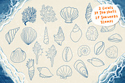 Seashells + Driftwood Procreate Set, a Brush Add-On by PrettyLittlePigs (Thumbnail 4 of 10)