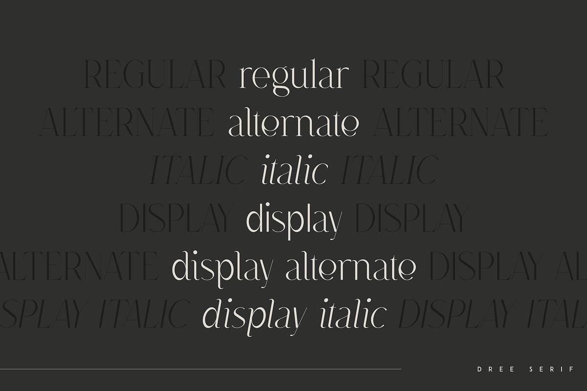 Dree serif typeface - 6 fonts, a Serif Font by Only Fonts (Photo 5 of 10)