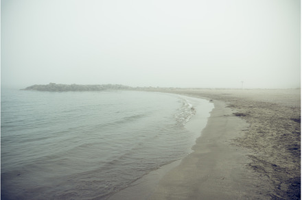 Foggy Beach Landscape