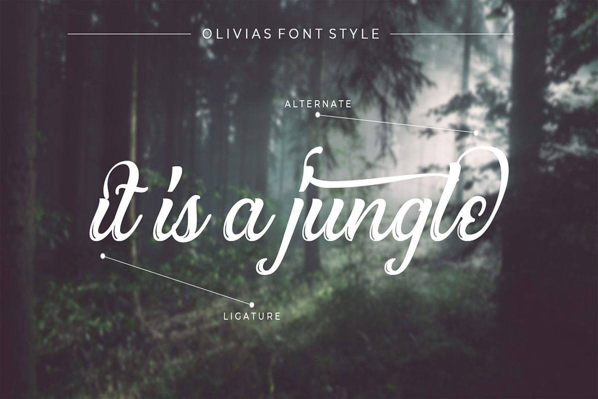 Olivias Typeface preview 7