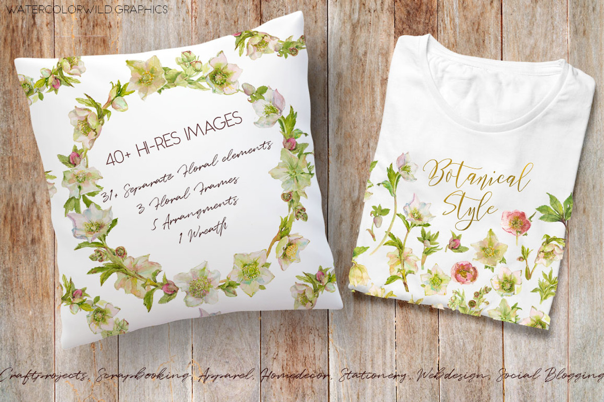 White Hellebore-Floral Clipart, an Illustration by watercolorwild.graphics (Photo 5 of 7)
