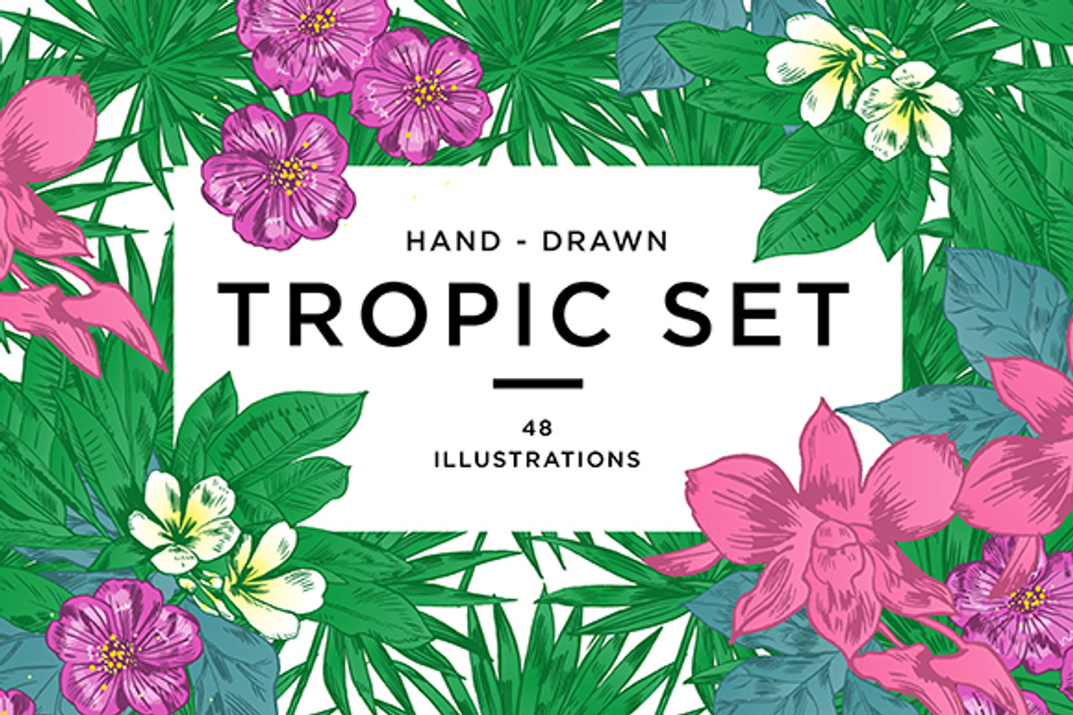 TROPIC FLOWERS, a Decorative Illustration by Tanya Akhmett (Photo 1 of 3)
