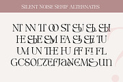 Silent Noise// Modern Font Duo, a Serif Font by Dora Typefoundry (Thumbnail 12 of 12)