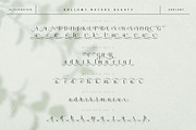 Rallomy Nature Beauty Serif, a Serif Font by alit design (Thumbnail 9 of 15)