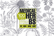 Medical plants. Big set., an Object Graphic by MarinaVorontsova (Thumbnail 1 of 11)