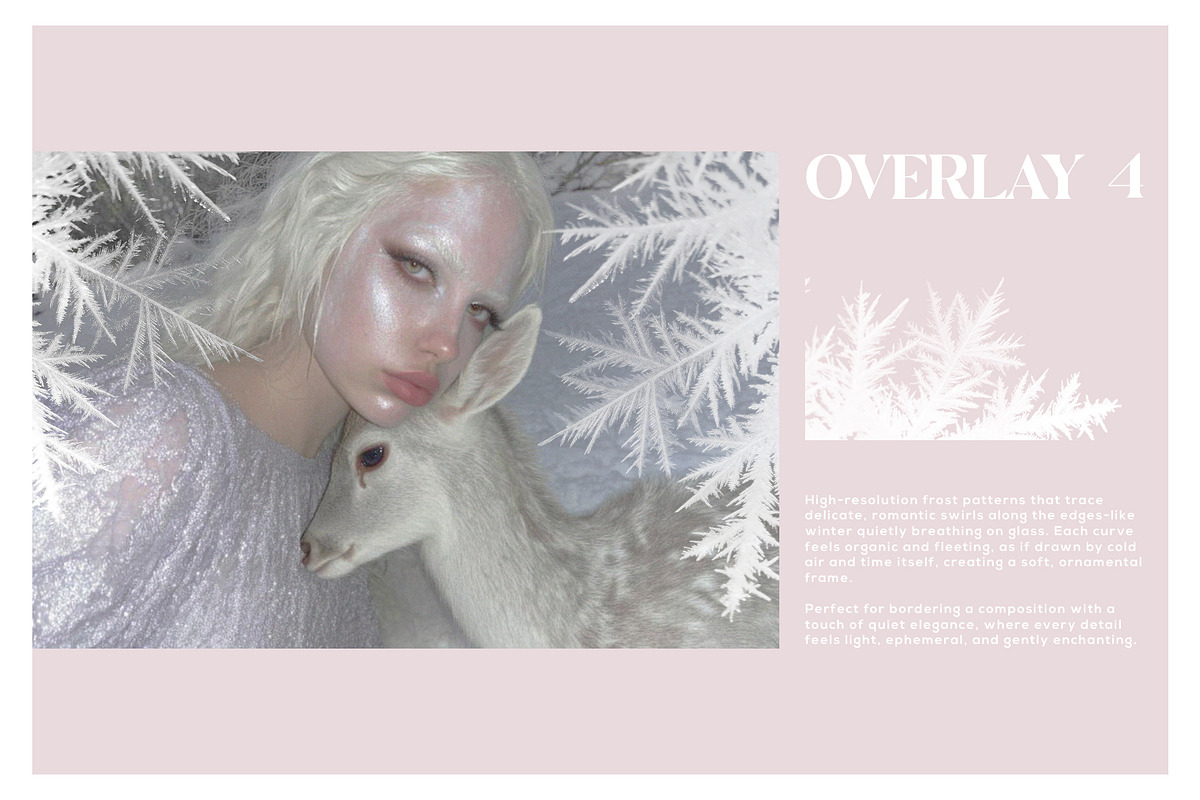 Ice Frost Overlays, a Texture Graphic by Kaleriia (Photo 5 of 17)