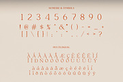Moeda Luxury Serif Font, a Serif Font by Creavora (Thumbnail 4 of 15)