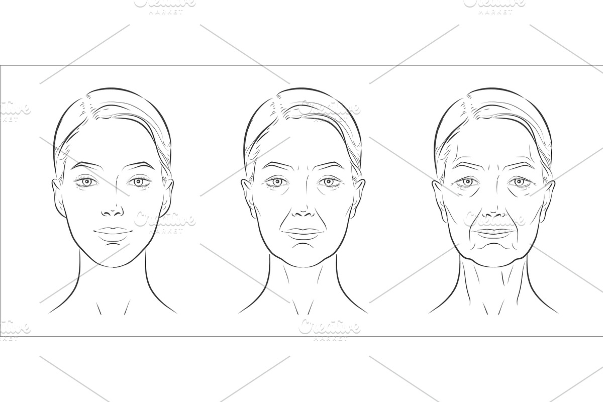 Woman’s face sketch, line vector, a Person Illustration by Alltruecolours