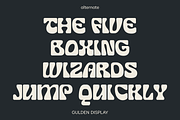 Gulden Display, a Font by Studio Gulden (Thumbnail 5 of 12)