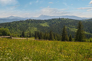 Summer Chornohora massiv mountains scenery view from Sevenei hil