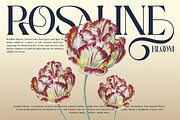 Roses Smyth Elegant Font, a Serif Font by Haps Space (Thumbnail 4 of 15)