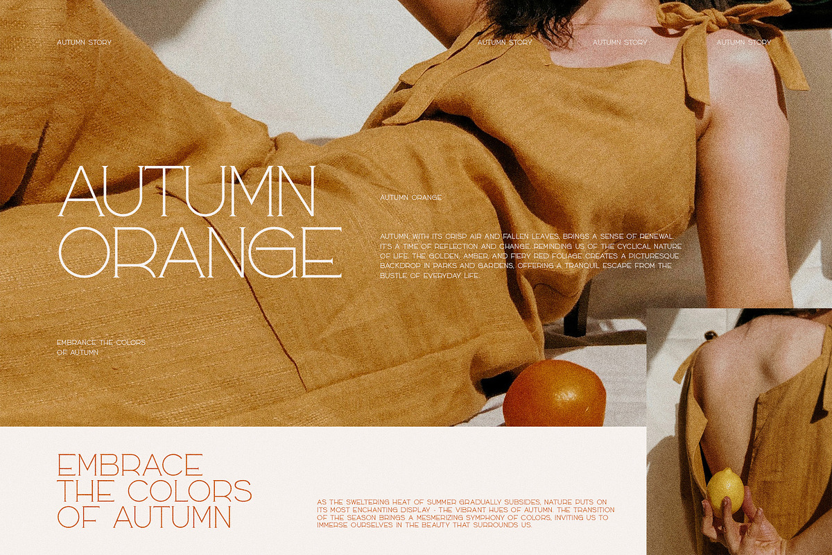 Rosta Modern Serif Font, a Serif Font by Perfectype (Photo 7 of 10)