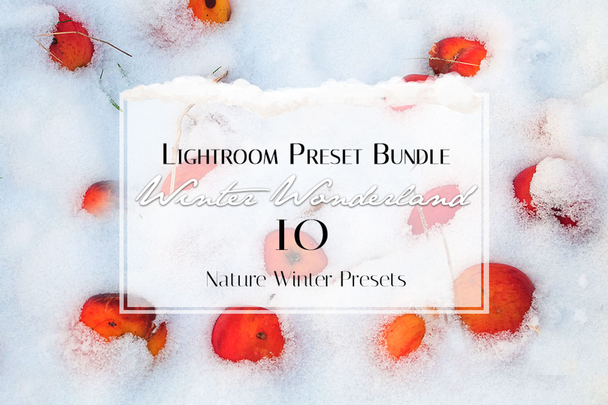 Winter Wonderland Lightroom Preset, a Plug-in Add-On by Jana Mänz Photography (Photo 3 of 8)