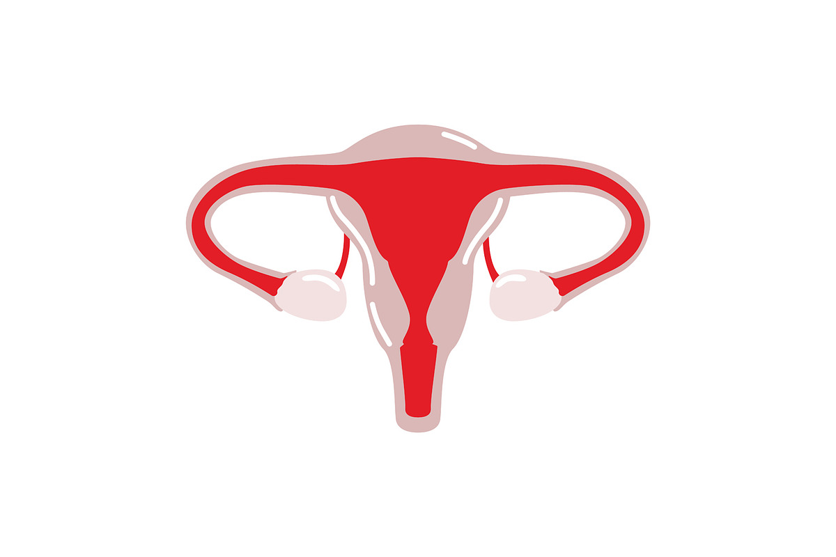 Women's Health & Menstrual Cycle, a Healthcare Illustration by the_myro (Photo 3 of 6)
