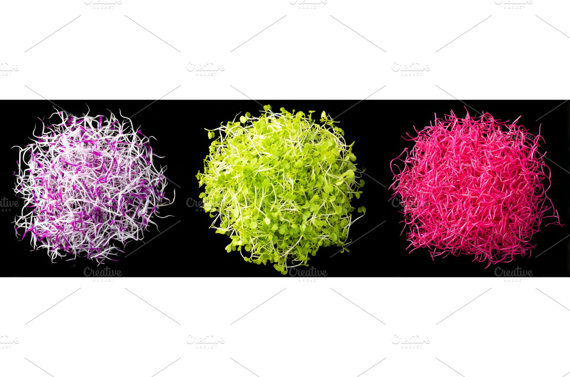Microgreens are shown isolated on a, a Food & Drink Photo by ZinetroN