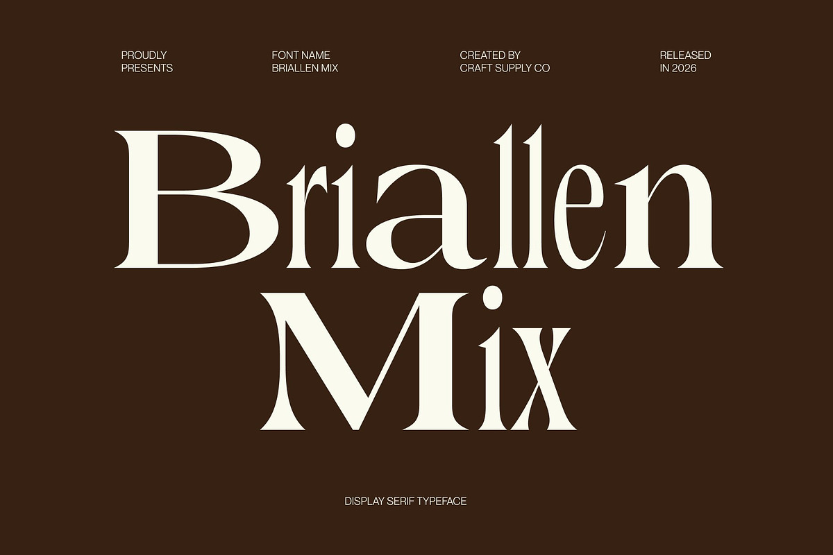 Briallen Mix, a Serif Font by Craft Supply Co. (Photo 1 of 8)