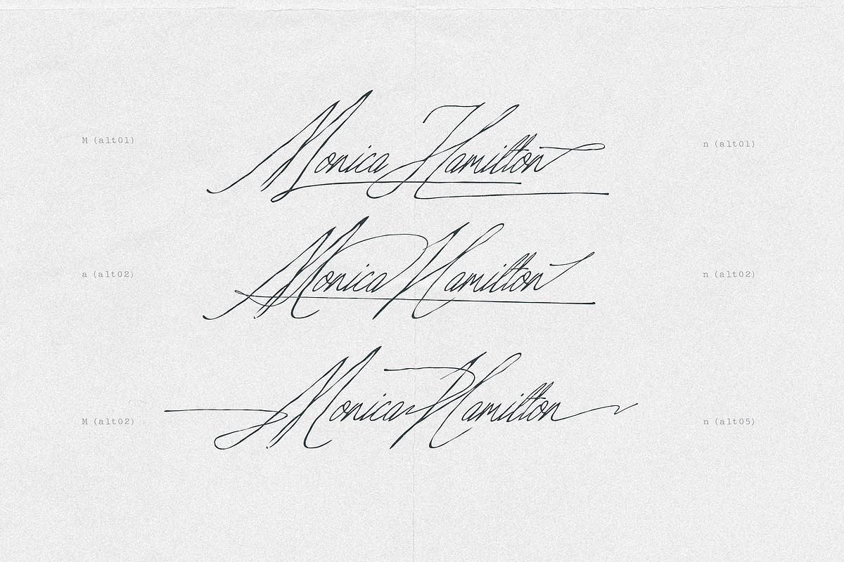 True Signature - Handwriting Script, a Script Font by AndrewPixelType (Photo 8 of 14)