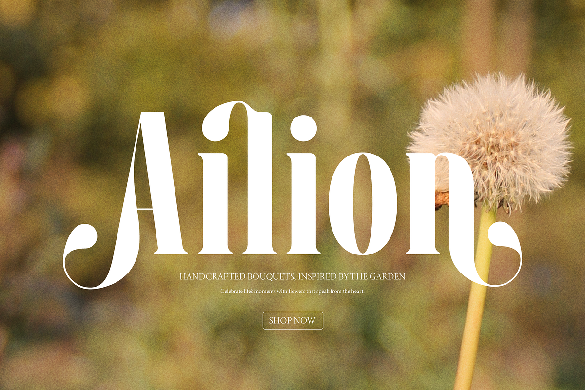 Pany Anemov | Modern Display Serif, a Font by Denustudios (Photo 7 of 15)
