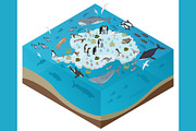 Antarctica isometric flora and fauna, an Animal Illustration by pet design shop (Thumbnail 4 of 5)