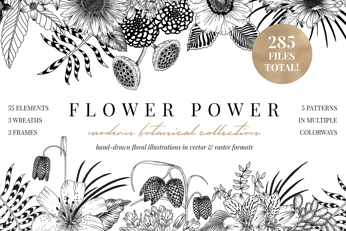 Vintage garden flower meadow lineart, an Illustration by Sophia J Caldwell (Photo 1 of 17)