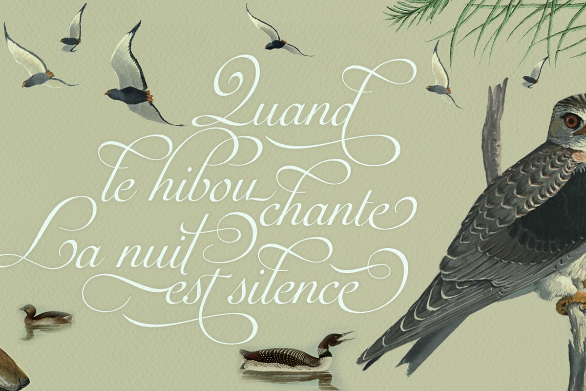 Auberge Script, a Script Font by Sudtipos (Photo 3 of 11)