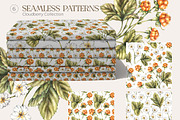 Cloudberry. Watercolor collection, a Food Illustration by SashaKondr (Thumbnail 9 of 13)