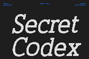 CS Wichita Pixel, a Serif Font by Craft Supply Co. (Thumbnail 3 of 8)
