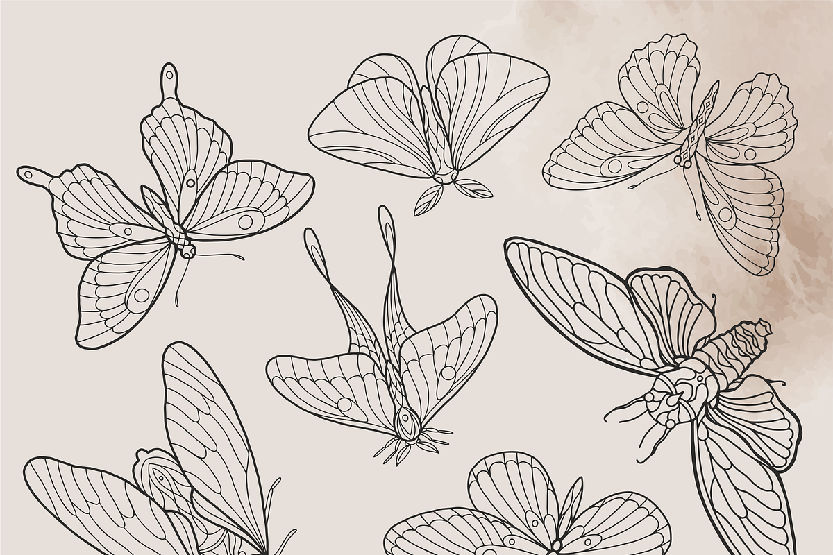 Insects Clipart - Black Line, PNG, an Illustration by Siriliadka Dreams (Photo 9 of 9)
