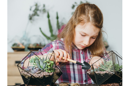 diy florarium creative hobby growing, a Sports & Recreation Photo by Photo Drive Studio